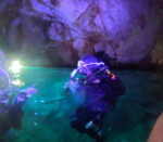 'Discount Wednesday' DISCOVER SCUBA ( first time diving or diving without licence) - Slika 5