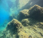 'Discount Wednesday' DISCOVER SCUBA ( first time diving or diving without licence) - Slika 7