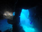 SILVER cave  reef wall  exlusive available Discover children diving - Slika 3