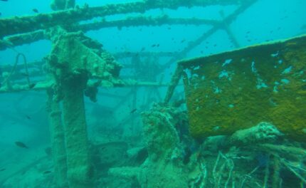 Discover scuba first time diving  on wreck - Tuesday and Friday - Exlusive adventure!