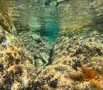 Speed boat 6h tour ( direction Sučuraj  or Starigrad) - Slika 6