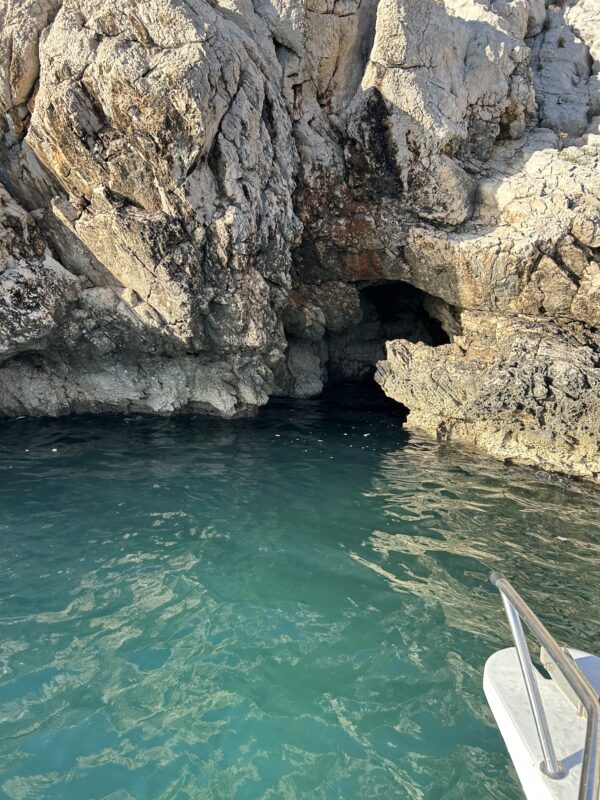 Habitat Studena East coast Brač