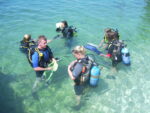 PADI OPEN WATER DIVER COURSE - AKCIA (4 dives  e learning included)