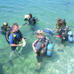 REFRESHING dive (slow beginn - supplement of attention - theory)