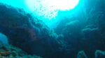 Vruja Atlantida ‘Pelegrin’ and BLUE HOLE 2 dives - Slika 11