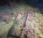 Vruja Atlantida ‘Pelegrin’ - Slika 5