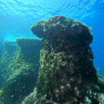 GLAVNA Cave reef wall  (near Starigrad Hvar)