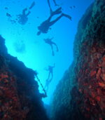 GLAVNA Cave reef wall  (near Starigrad Hvar) - Slika 2