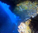 GLAVNA Cave reef wall  (near Starigrad Hvar) - Slika 7