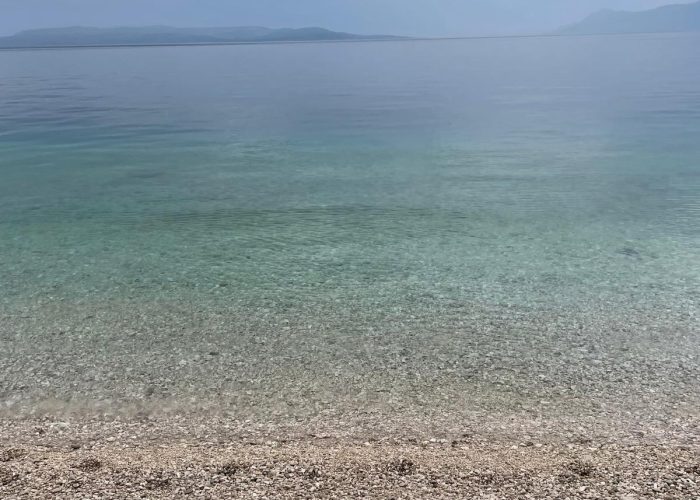 16d7fa2a-07ca-4485-acc0-25a477af6c4d