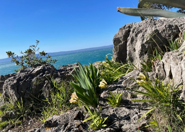 5c893baf-3448-4547-96ba-01282ea6ffd8