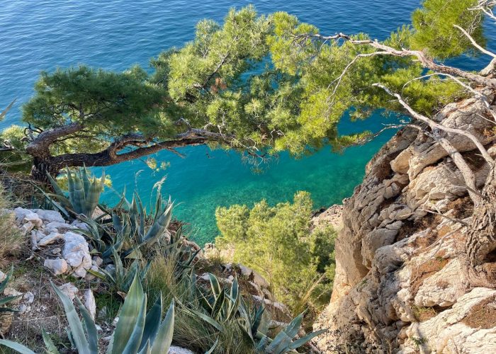 7e5442ea-8151-489e-b9c0-42ccfa40f0f6