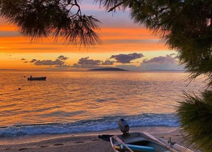 c0d00523-c741-4180-9887-316e66622692