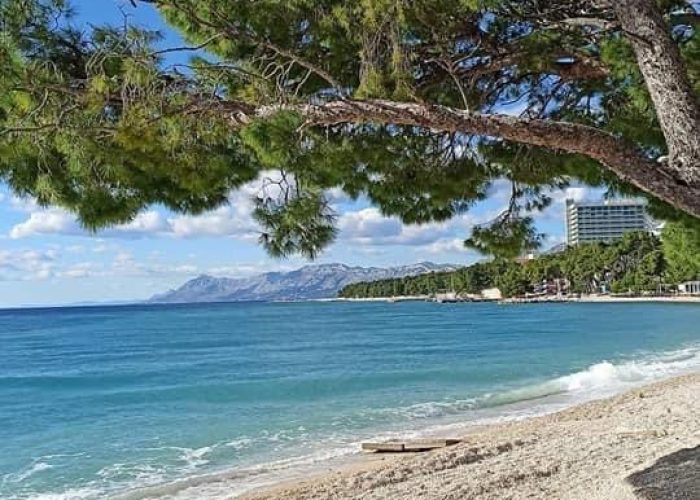 ded3fcf0-f3e1-4a99-aac3-cba7154216a8